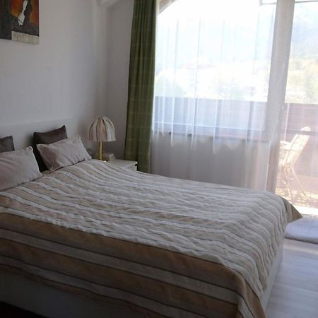 Mountainview Apartment Ski, Spa & Thermal Banszko Kültér fotó